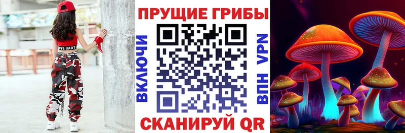 Псилоцибиновые грибы Cubensis  Верхотурье 
