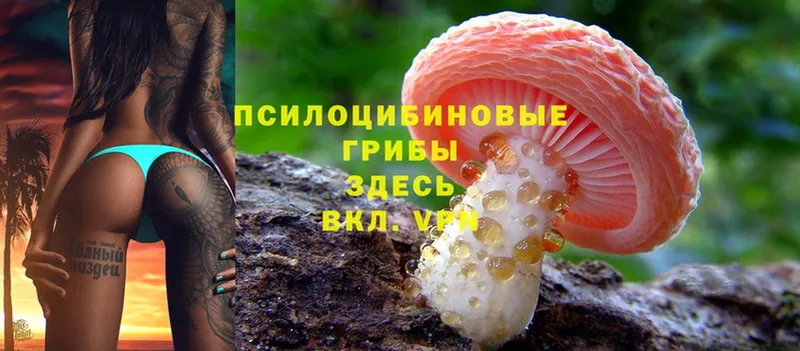 Галлюциногенные грибы MAGIC MUSHROOMS Верхотурье