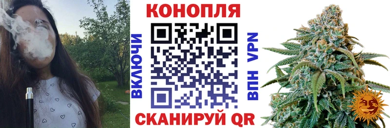 где купить наркотик Верхотурье Шишки марихуана Amnesia